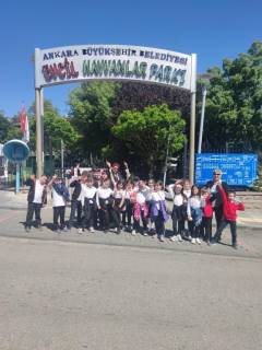 Evrensel Kolej